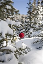 Christmas decoration hanging from snowy tree