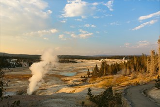 Steam rising from geyser in Yellowstone National Park