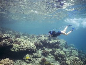 Caucasian woman snorkeling near coral reef in tropical ocean