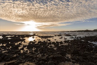 Rocks on ocean beach at sunset