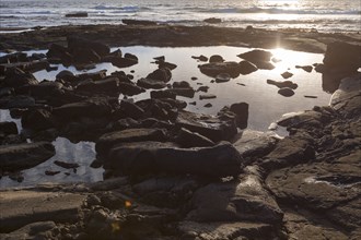 Rocks in tide pool on ocean beach at sunset