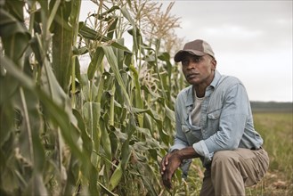 African American farmer tending crops