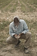 African American farmer checking dirt in field