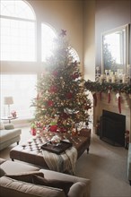 Christmas tree and decorations in living room