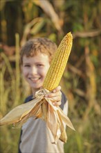 Caucasian boy holding ear of corn on farm