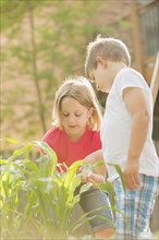 Children gardening in backyard