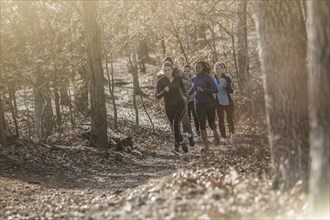 Runners jogging on dirt path in forest