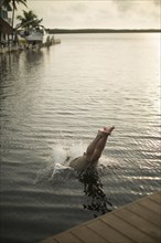 Mixed race woman diving into lake