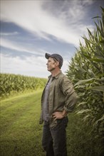 Caucasian farmer standing in corn crops