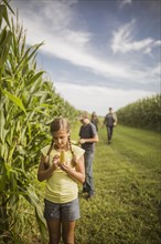 Caucasian family examining corn crops on farm