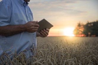Caucasian man using digital tablet in field of wheat