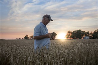 Caucasian man using digital tablet in field of wheat