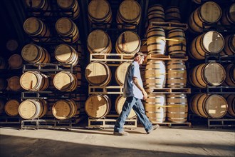 Caucasian man walking near barrels in distillery