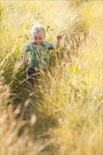 Caucasian boy walking in tall grass
