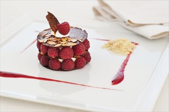 Elegant raspberry dessert