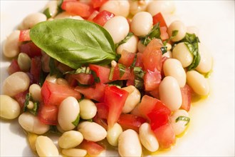Fresh Italian bean salad