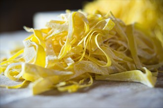 Close up of fresh pasta noodles