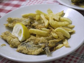 Plate of fried fish and french fries with lemon