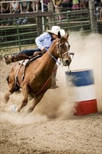 Cowgirl riding horse near barrel in rodeo