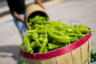 Man pouring green peppers into basket
