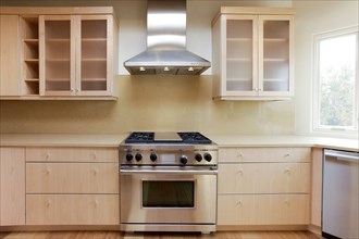 Stove and hood in modern kitchen
