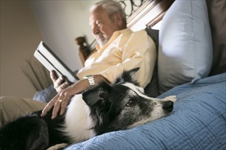 Older man laying on bed with dog reading digital tablet