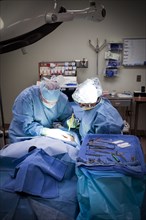 Surgeons operating on patient in hospital