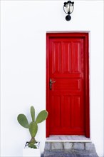 Cactus near red door