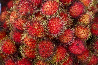 Pile of red spiny fruit