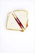 One peanut butter and jelly sandwich cut in half