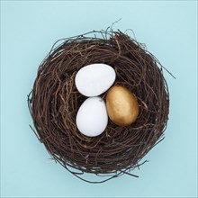 Eggs and one golden egg in nest