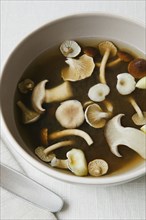 Close up of mushroom soup