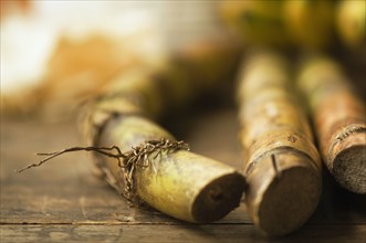 Close up of sugar cane stick