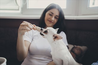 Caucasian woman feeding treat to pet dog