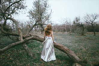 Glamorous location woman standing near fallen tree