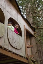 Korean children playing in tree house