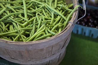 Close up of basket of fresh green beans