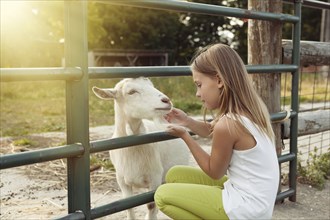 Caucasian girl petting goat at farm
