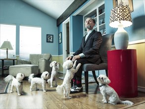 Caucasian businessman ignoring begging dogs