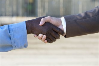 Multi-ethnic businessman and construction worker shaking hands