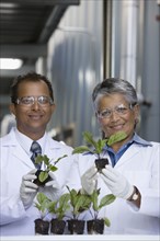 African scientists examining seedlings in factory