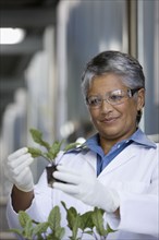 African scientist examining seedlings in factory