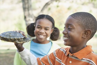 Children examining turtle in park
