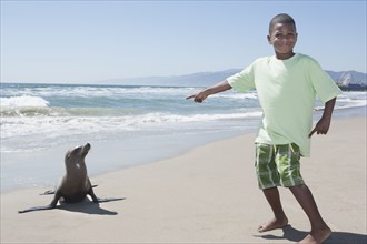 African American boy watching seal on beach