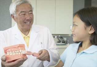 Senior Asian male dentist showing model of teeth to young patient