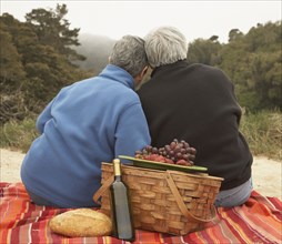 Senior couple hugging at picnic