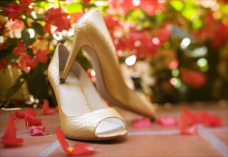 Close up of elegant high heeled shoes