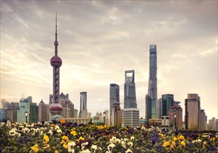 Shanghai city skyline over field of flowers