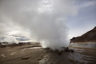 Geyser steam in remote field