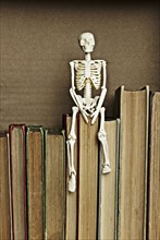Skeleton on top of books